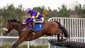 Tipperary jockey Jake Coen landed his first winner in style over jumps