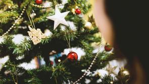 Remember a loved one at the community Christmas tree in Kilcash