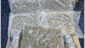 Man arrested after gardaí conduct cannabis bust valued at €120k