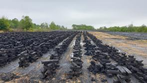 Tipperary man's claim against council is dismissed