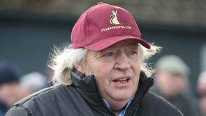 Injury means that Tipperary-trained Gentlemans Game will miss Christmas race at Leopardstown