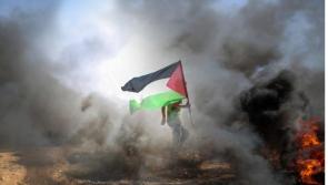 People of Tipperary are urged to support a fundraiser for Medical Aid for Palestinians