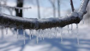 Alert: Met Éireann issues weather advisory with potential for severe frost in coming days