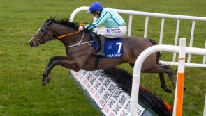 Plenty of success for Tipperary jockeys and trainers since the New Year