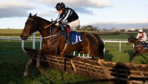 Tipperary racing news: Plenty of winners across seven days as Edward O’Grady leads the way 