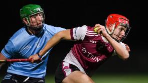 ROUND-UP: Fitzgibbon Cup concludes opening round with Tipp players prominent