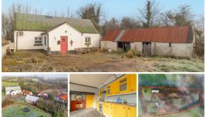 PICTURES: Tipperary cottage with DIY potential and big surprise could be snapped up for €120k