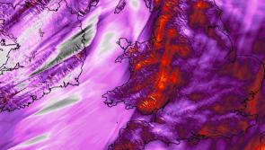 More counties included in Status Red warnings as Storm Isha hits Ireland hard 