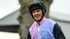 Davy Russell is favourite to fall at the next Dancing with the Stars hurdle