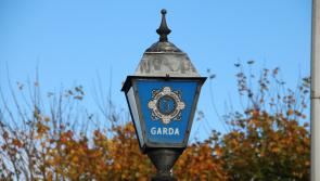 Drugs, weapons and cigarettes seized during major garda operation in north Cork
