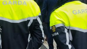 Garda appeal for witnesses to smashing of car window in Tipperary Town