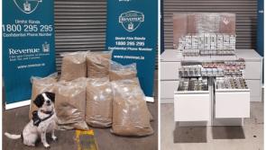 Over €1.6m worth of drugs and cigarettes sniffed out with detector dog Milo's help