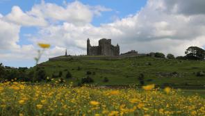  'Elevate Tipperary Tourism Conference'  is set to take place this year in Cashel 