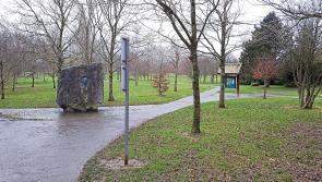 Outdoor gym equipment requested for park in Tipperary