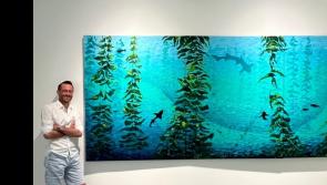 The Tipperary man who swapped his whiteboard for an easel on American island