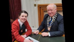 Tipperary politician calls for movement on Clonmel parking charges