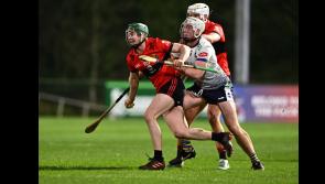 ROUND-UP: Tipp players with Mary I and UL progress to Fitzgibbon Cup semi-finals