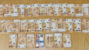 Gardaí discover 'substantial' sum of cash and 180 rounds of ammunition in Cork searches