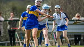 Tipperary camogie minors travel in search of a Munster A title this weekend 