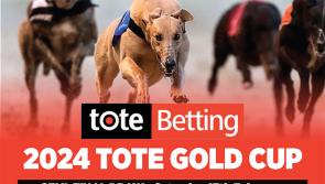 Plenty of Tipperary interest in the Tote Gold Cup as the big race gets closer 