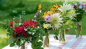 Speech on health and fitness will be given at flower club meeting in Tipperary