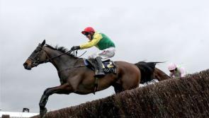 Surehaul Mercedes-Benz Novice Hurdle the feature race at Clonmel
