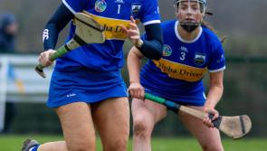  Tipperary junior team make the trip to Enniscorthy this Saturday to take on the Yellowbellies 