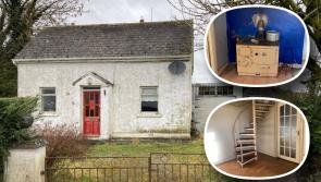 PICTURES: Quaint and quirky Tipperary cottage hits the market with budget-friendly price tag