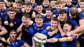 Tipp to the fore as Mary Immaculate College see off  UL to claim third Fitzgibbon Cup title