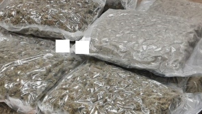 Over €500k worth of drugs suspected to be cannabis seized by Gardaí in TWO counties