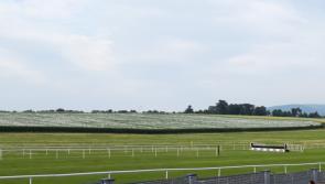 Seven-race National Hunt card at Clonmel has been cancelled