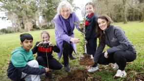  The Tree Council of Ireland along with Coillte kick off National Tree Week 