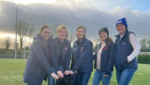 Charity calf sale at Cahir Mart this Friday will raise funds for Rathgormack astro-turf pitch 