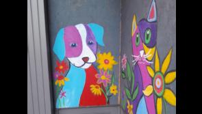 South Tipperary Art Group has completed painting at Market Place