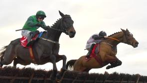 Tipperary will be very well represented at Cheltenham Festival