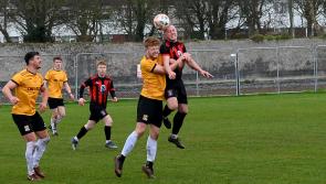 Two-Mile-Borris go wild with eight goal demolition job in Tipperary Premier League