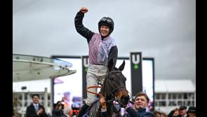 Tipperary eyes are smiling after the first winner at Cheltenham Festival