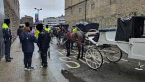 Gabhann Gardaí beirt thiománaí cairt chapaill as 'tiomáint ar meisce'