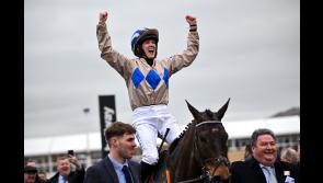 Captain Guinness provides Tipperary jockey Rachael Blackmore with another winner at Cheltenham