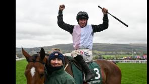 Tipperary-owned horse wins the Stayers' Hurdle at Cheltenham