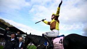Punters the Champs at Cheltenham As Mullins strikes gold