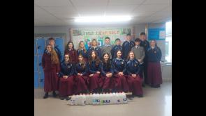 This Tipperary school were very busy for Global Citizenship and Sustainability Week