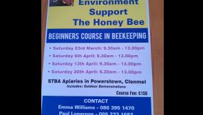 Learning the art of beekeeping in Tipperary