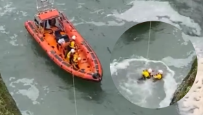 WATCH: Thrilling rescue of little dog who fell from cliff at Irish tourist spot
