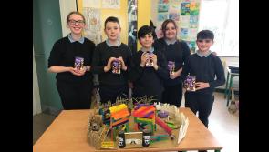 Great fun at Ballymacarbry NS - Panda Playground Design Competition winners announced