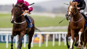 Tipperary racing winners galore over the last seven days 