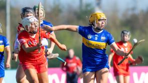 Disappointment  for Tipperary in National League Division 2B Camogie final