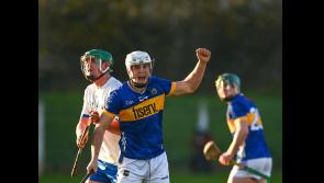 Three Tipperary players included in Higher Education Hurling Rising Stars Team of the Year