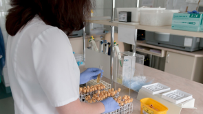 Irish nurses demand end to 'detrimental' HSE recruitment freeze as Easter weekend looms