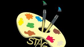 South Tipperary Art Group has plans in the pipeline for more murals